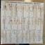 Lâmina Meridianos: Tendinomusculares, diferentes, extraordinários, principais e ramos colaterales (medidas da lâmina: 70x50 cm) - OUTLET